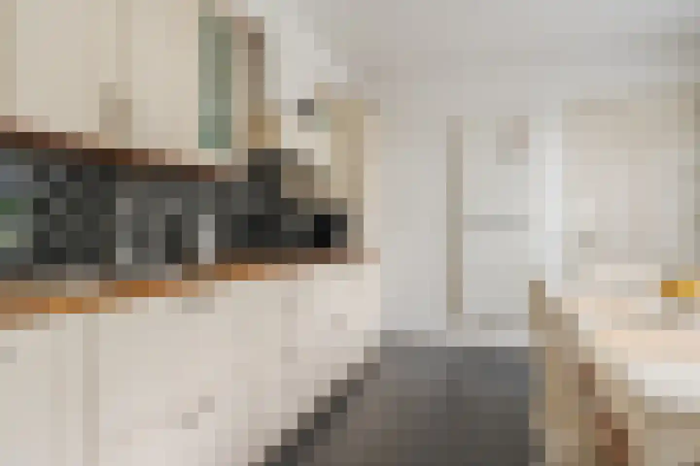 Poelhoeve 18 Sterksel thumbnail 21