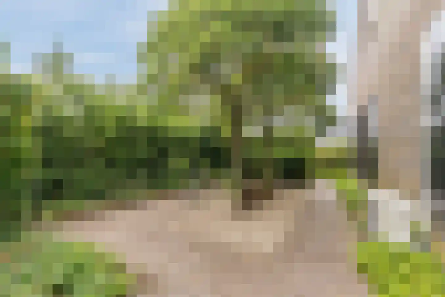 Poelhoeve 18 Sterksel thumbnail 73