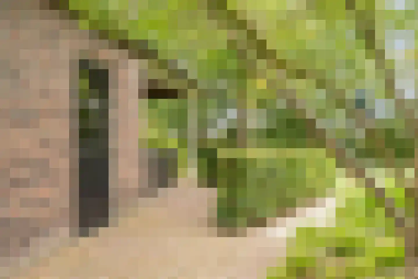 Poelhoeve 18 Sterksel thumbnail 81