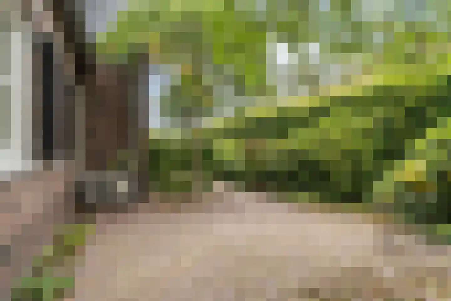 Poelhoeve 18 Sterksel thumbnail 93