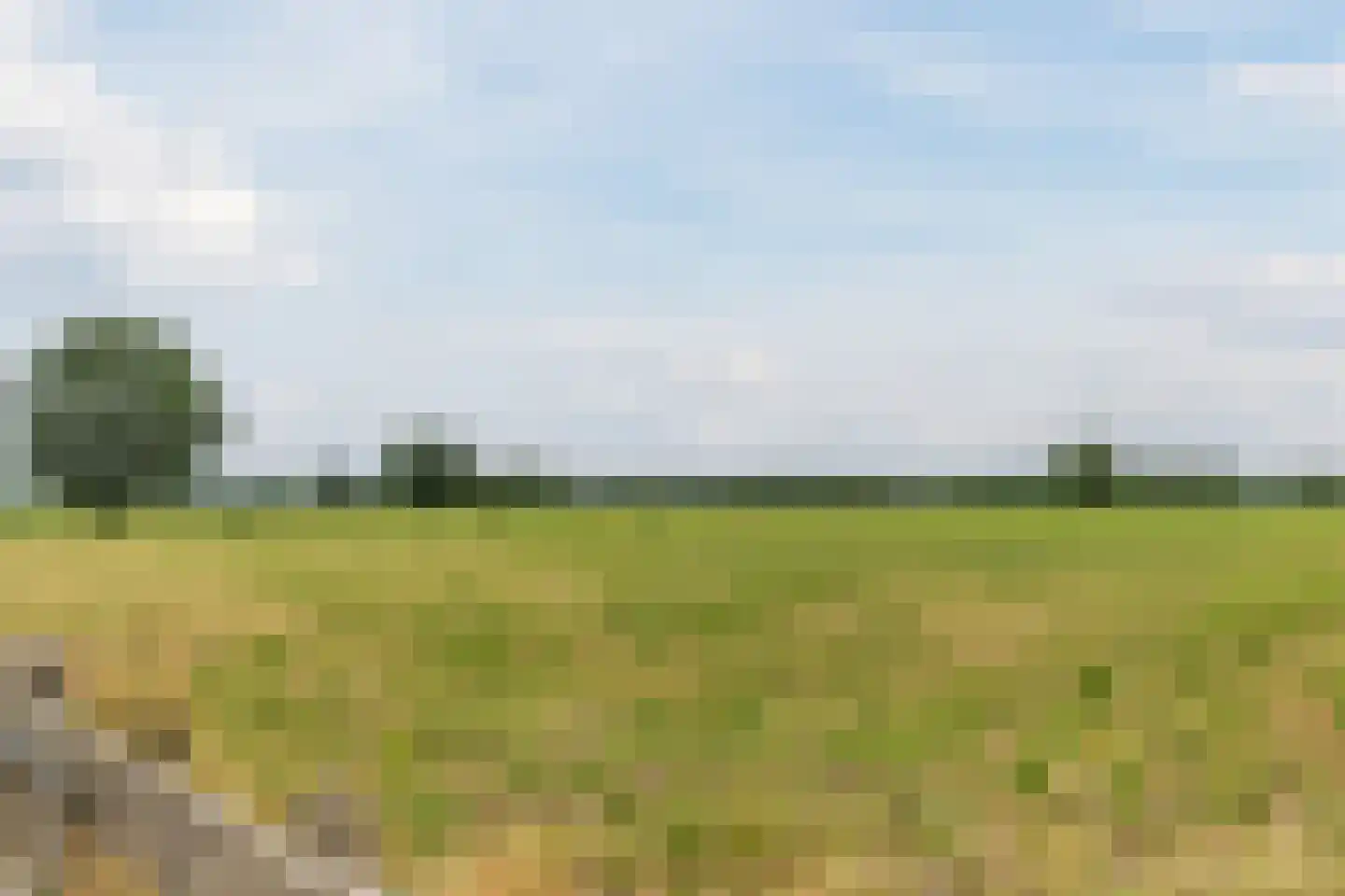 Poelhoeve 18 Sterksel thumbnail 94