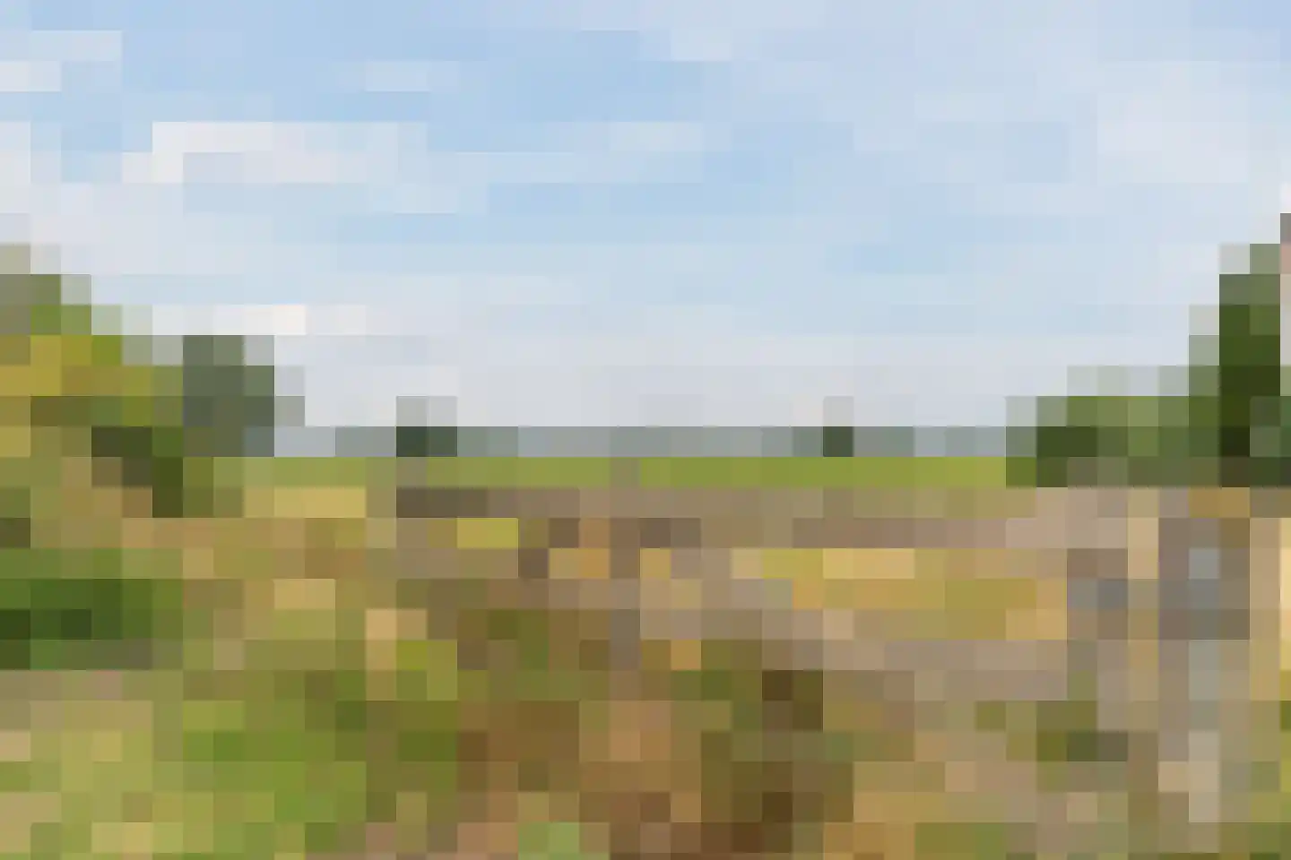 Poelhoeve 18 Sterksel thumbnail 95