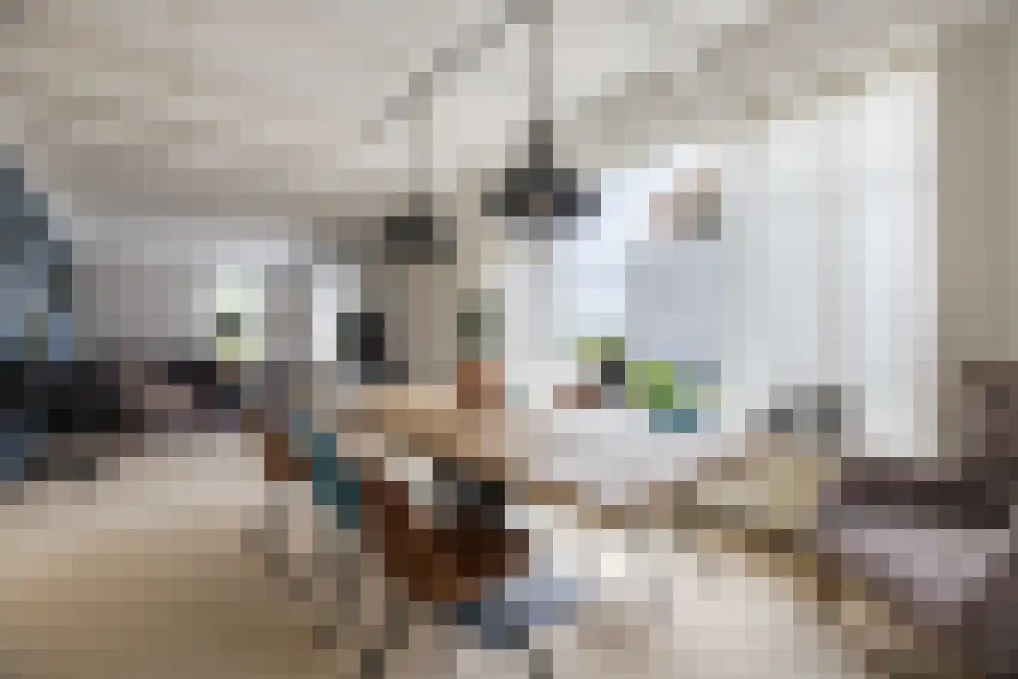 Poelkade 14 's-Gravenzande thumbnail 10