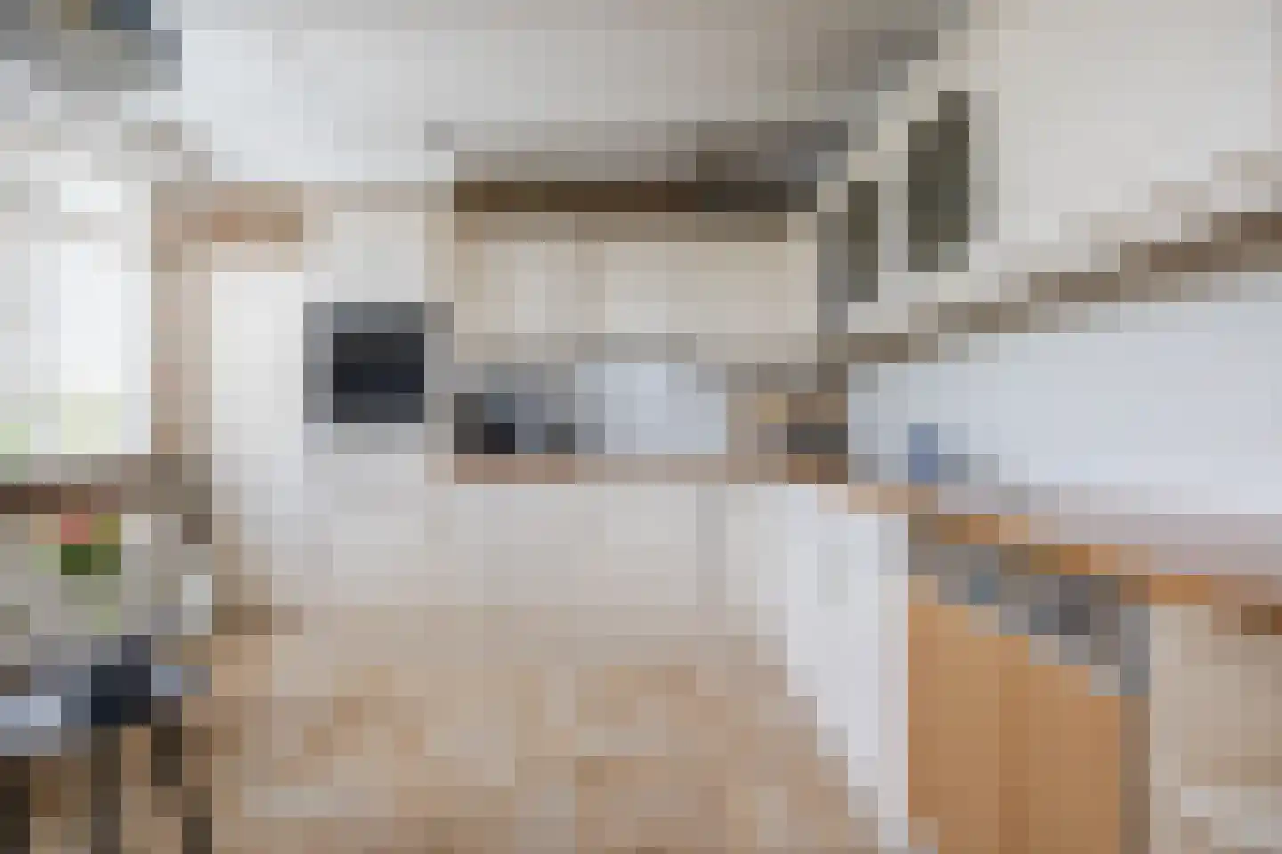 Poelkade 14 's-Gravenzande thumbnail 12
