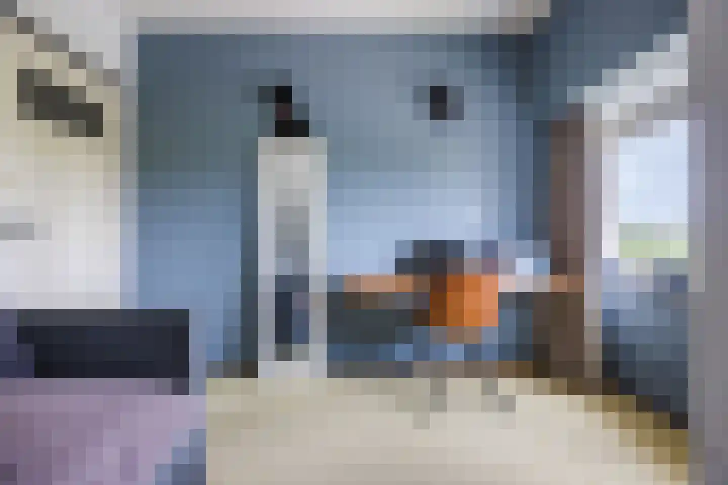 Poelkade 14 's-Gravenzande thumbnail 23