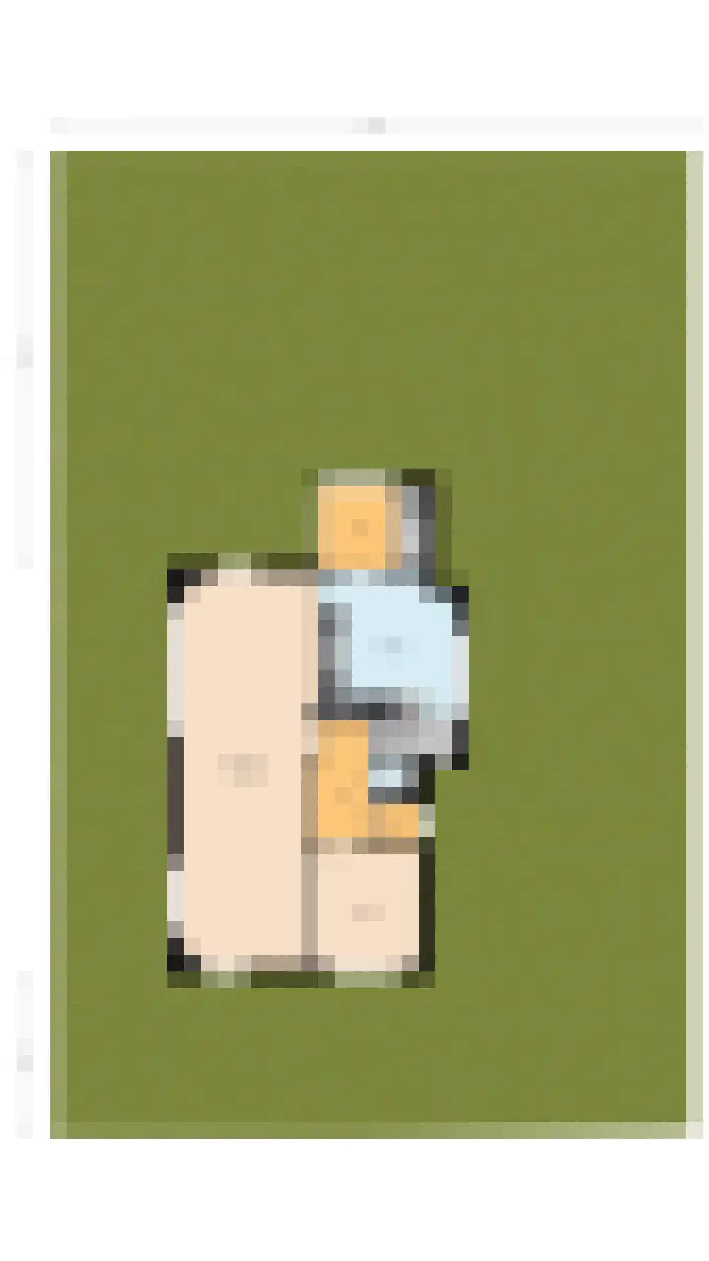 Poelkade 14 's-Gravenzande thumbnail 39
