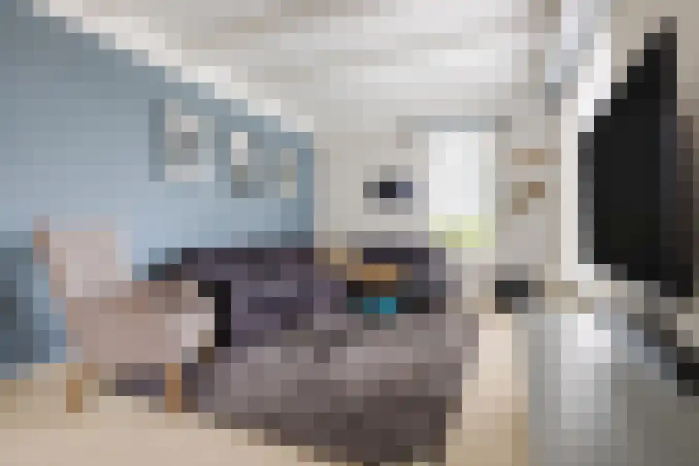 Poelkade 14 's-Gravenzande thumbnail 6