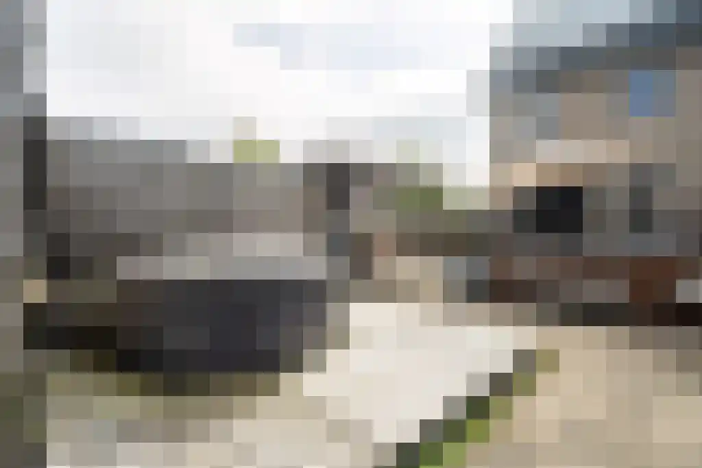 Poelkruidstraat 2 Lelystad thumbnail 34