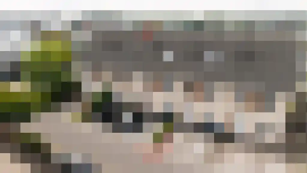 Poelkruidstraat 5 Lelystad thumbnail 5
