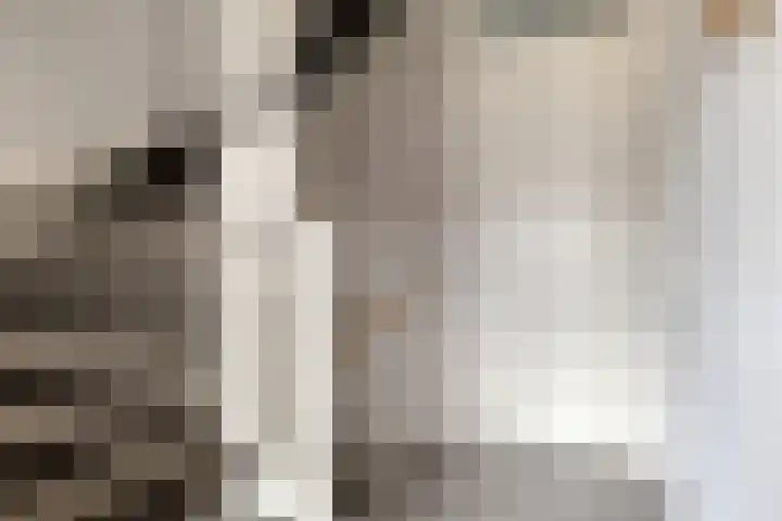 Poeloever 12 Roelofarendsveen thumbnail 10