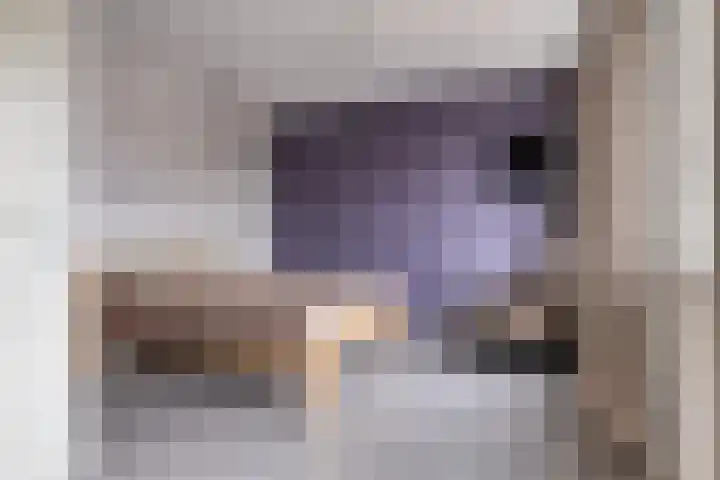 Poeloever 12 Roelofarendsveen thumbnail 11