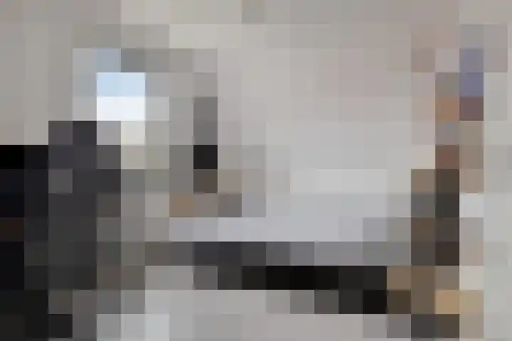 Poeloever 12 Roelofarendsveen thumbnail 16
