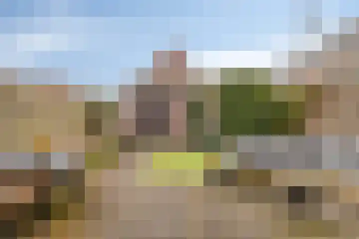 Poeloever 12 Roelofarendsveen thumbnail 18