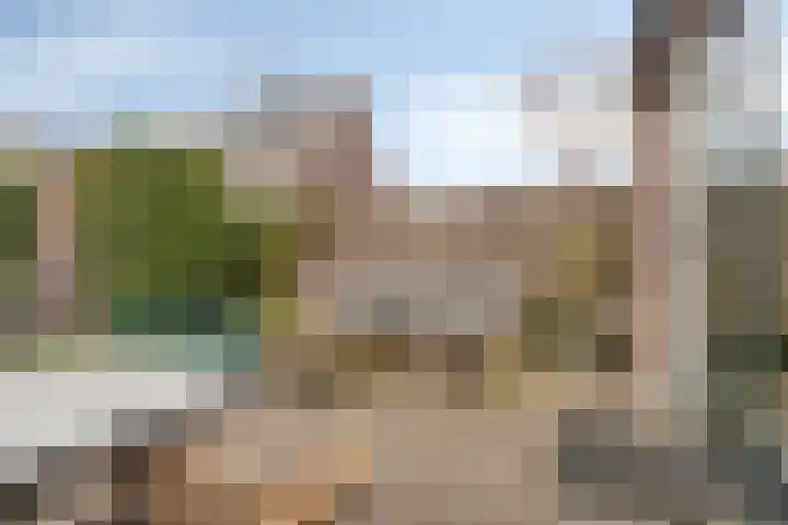 Poeloever 12 Roelofarendsveen thumbnail 19