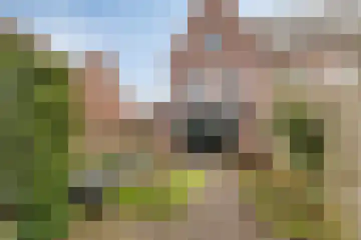 Poeloever 12 Roelofarendsveen thumbnail 20