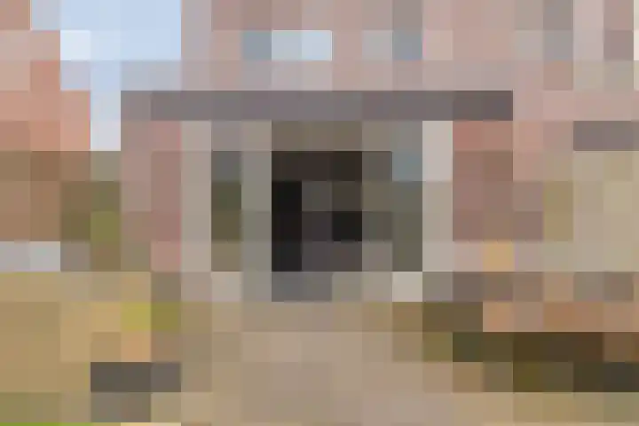 Poeloever 12 Roelofarendsveen thumbnail 21