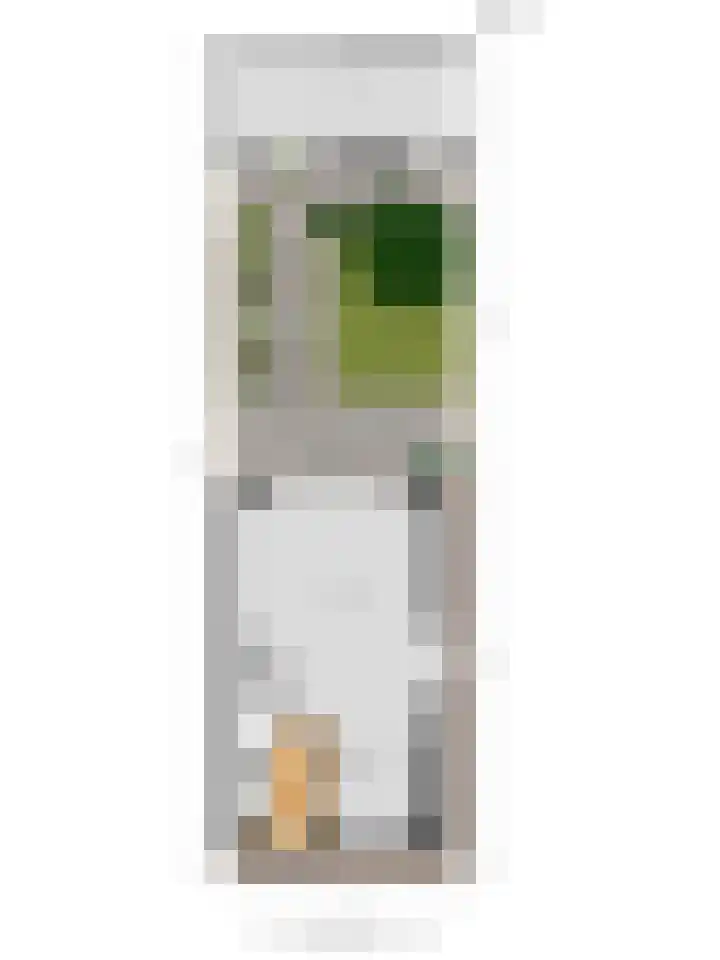 Poeloever 12 Roelofarendsveen thumbnail 24