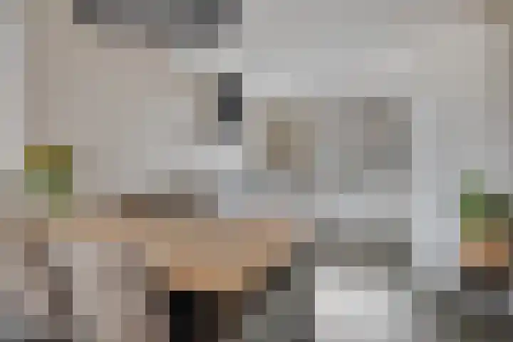 Poeloever 12 Roelofarendsveen thumbnail 6