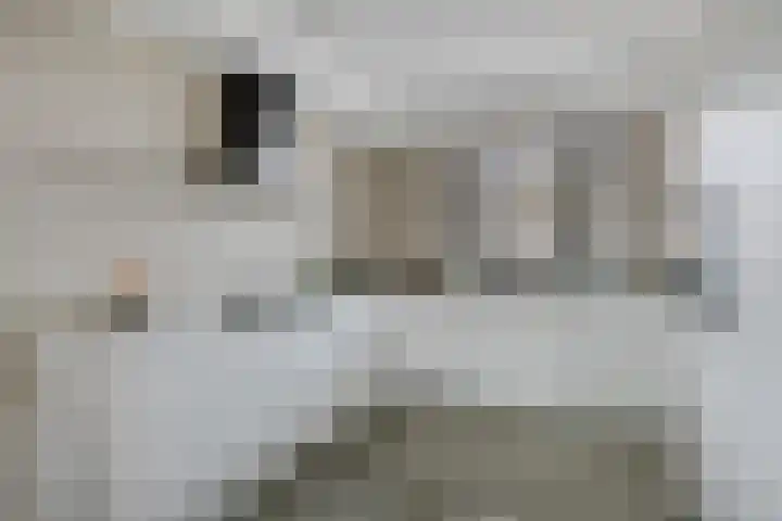 Poeloever 12 Roelofarendsveen thumbnail 7