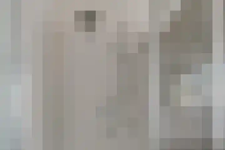 Poeloever 20 Roelofarendsveen thumbnail 17