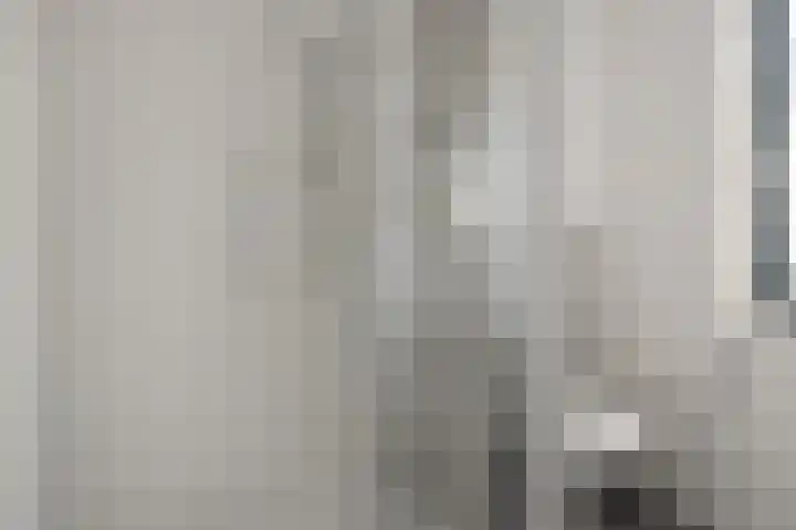 Poeloever 20 Roelofarendsveen thumbnail 18