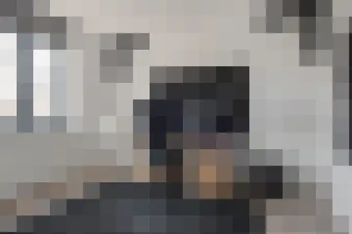 Poeloever 20 Roelofarendsveen thumbnail 19