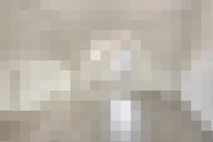 Poeloever 20 Roelofarendsveen thumbnail 21
