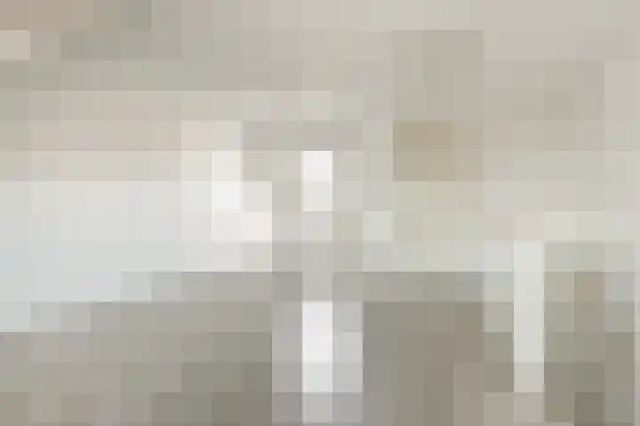 Poeloever 20 Roelofarendsveen thumbnail 22