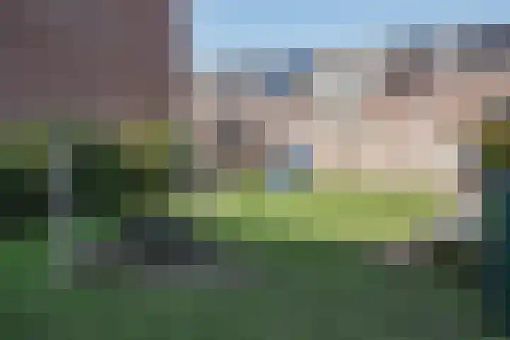 Poeloever 20 Roelofarendsveen thumbnail 27