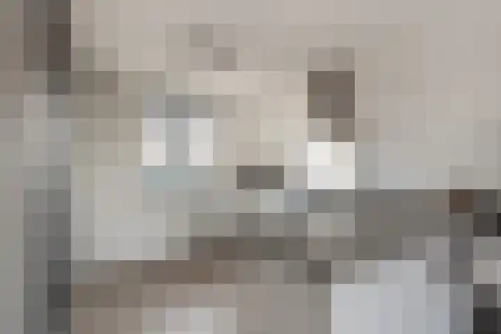 Poeloever 20 Roelofarendsveen thumbnail 9