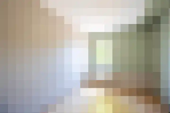 Poelpolderstraat 12 Haarlem thumbnail 22