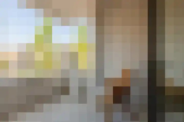 Poelruit 102 Reeuwijk thumbnail 12