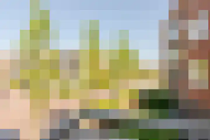 Poelruit 102 Reeuwijk thumbnail 13
