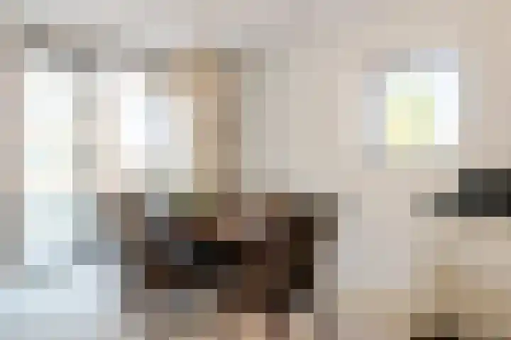 Poelruit 102 Reeuwijk thumbnail 17