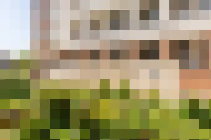 Poelruit 102 Reeuwijk thumbnail 34