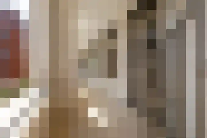 Poelruit 102 Reeuwijk thumbnail 37