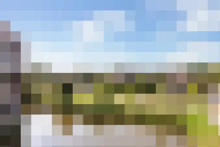 Poelruit 104 Reeuwijk thumbnail 34