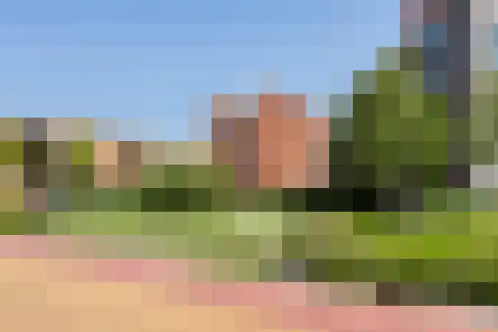 Poelruit 104 Reeuwijk thumbnail 37