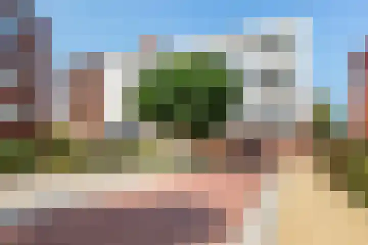 Poelruit 104 Reeuwijk thumbnail 7