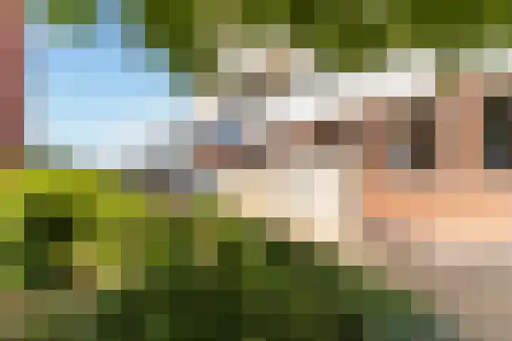 Poelruit 104 Reeuwijk thumbnail 8