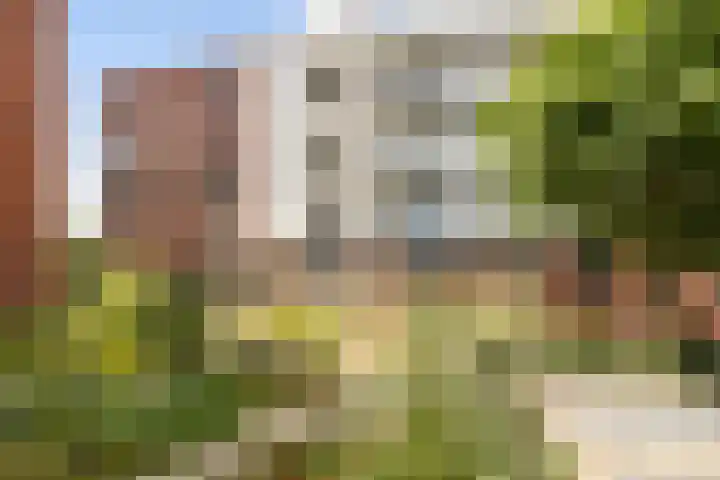 Poelruit 106 Reeuwijk thumbnail 6