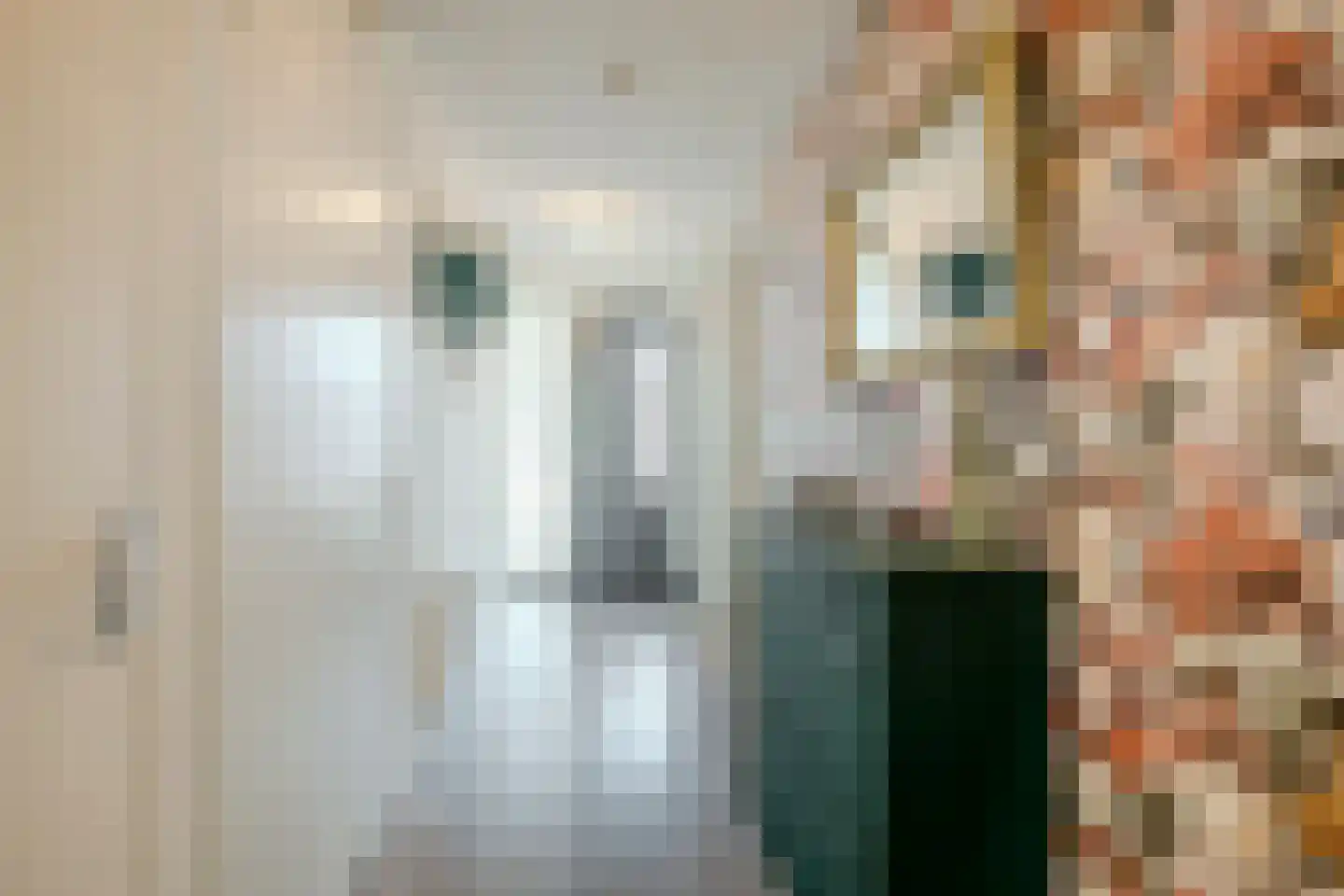Poelruit 2 a Reeuwijk thumbnail 11