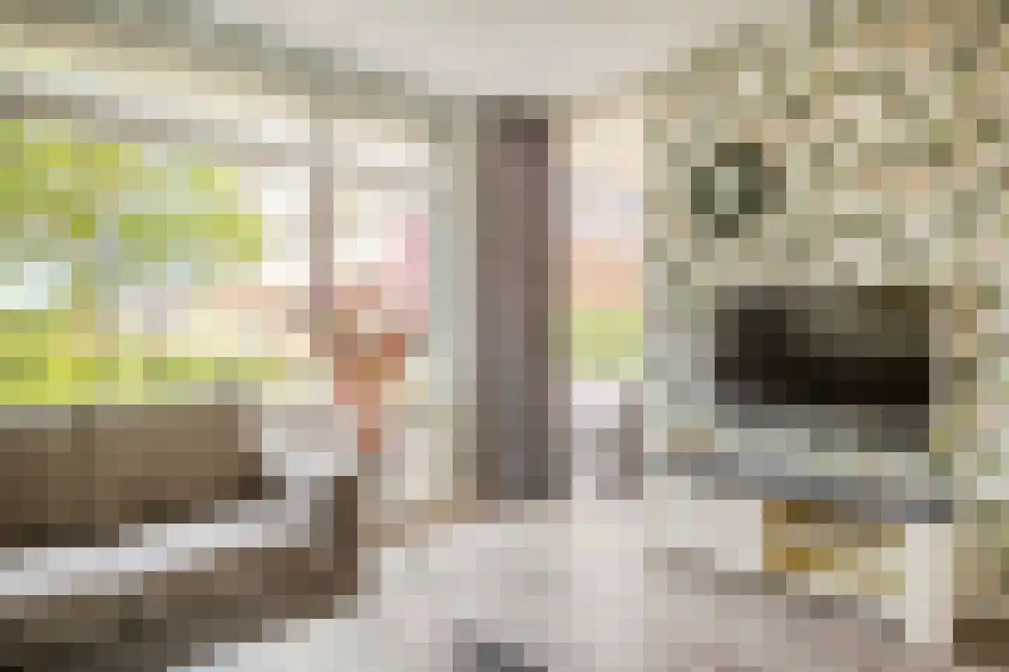 Poelruit 2 a Reeuwijk thumbnail 16