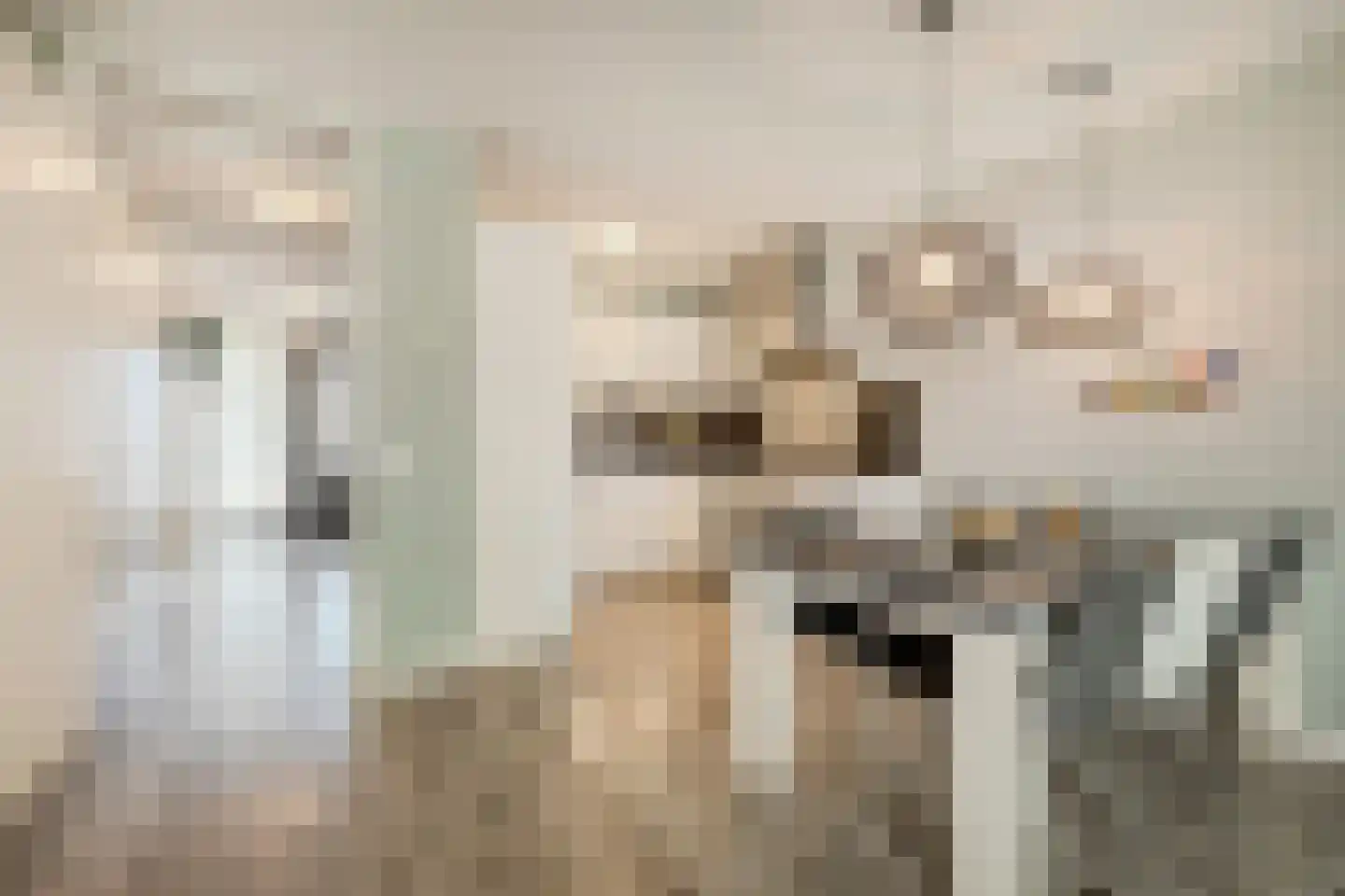 Poelruit 2 a Reeuwijk thumbnail 21