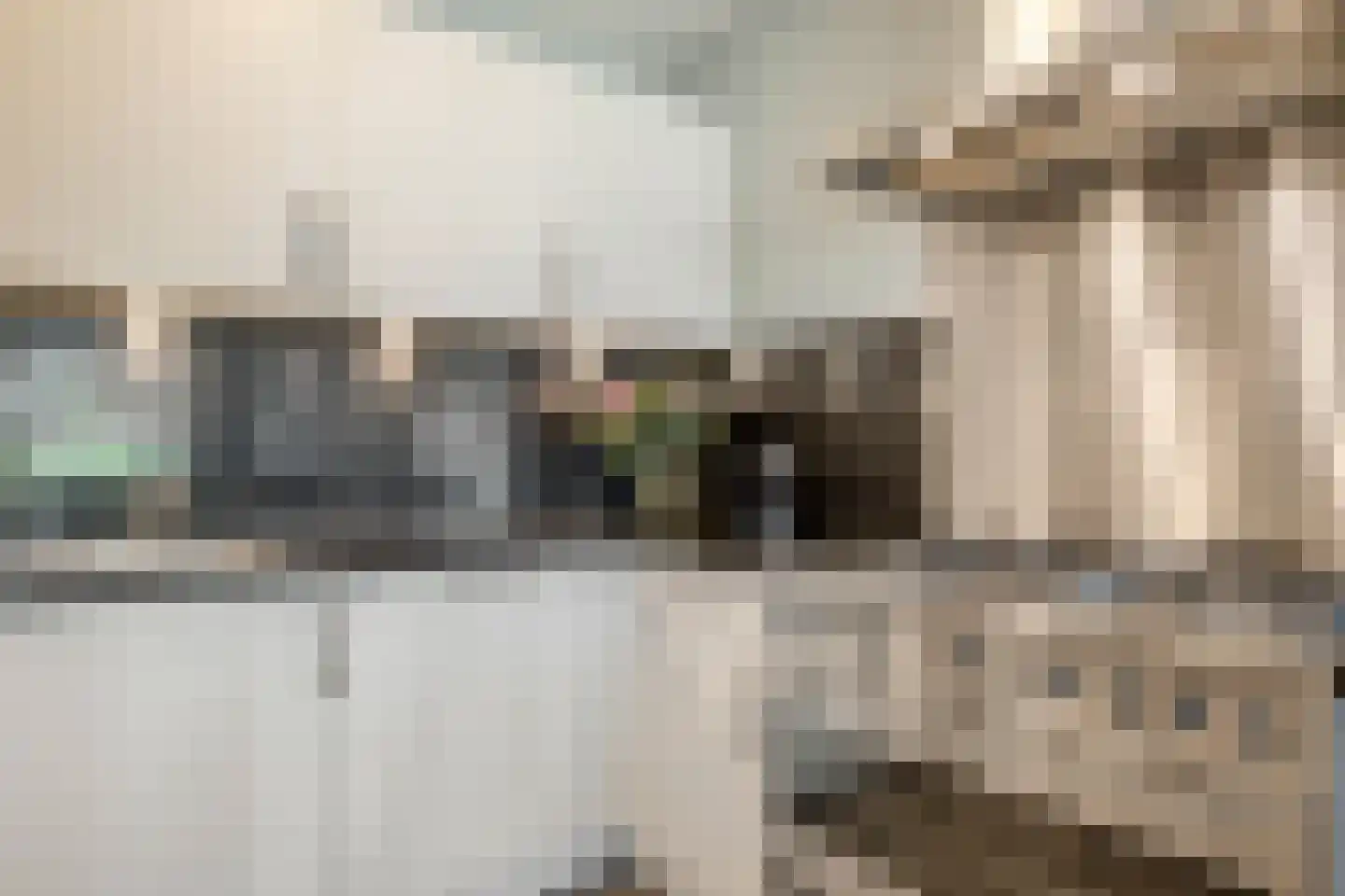 Poelruit 2 a Reeuwijk thumbnail 23