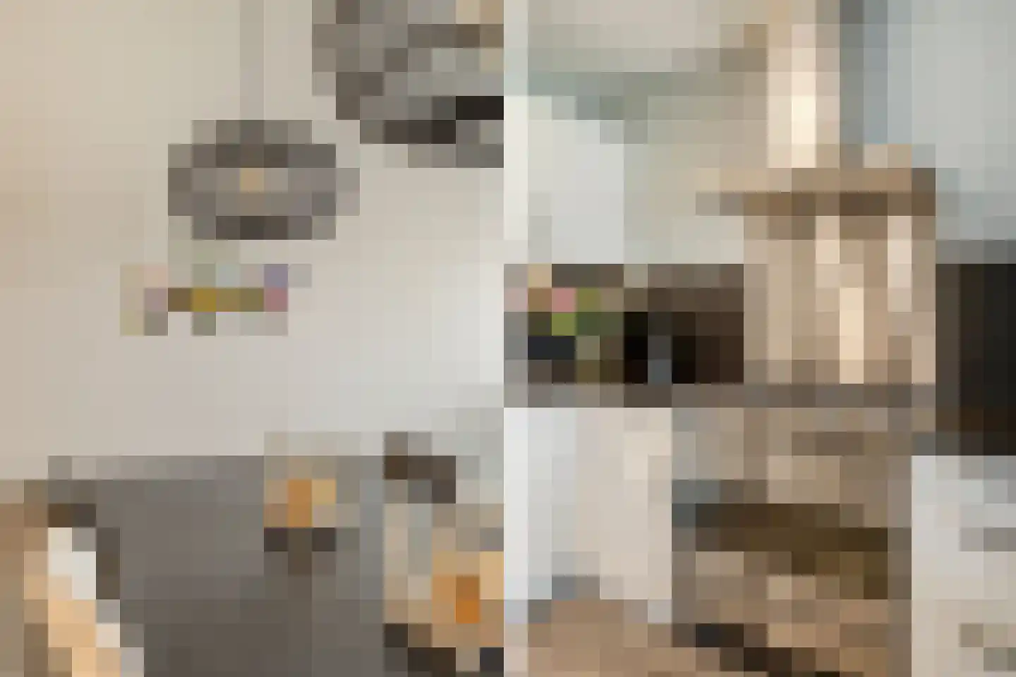 Poelruit 2 a Reeuwijk thumbnail 24