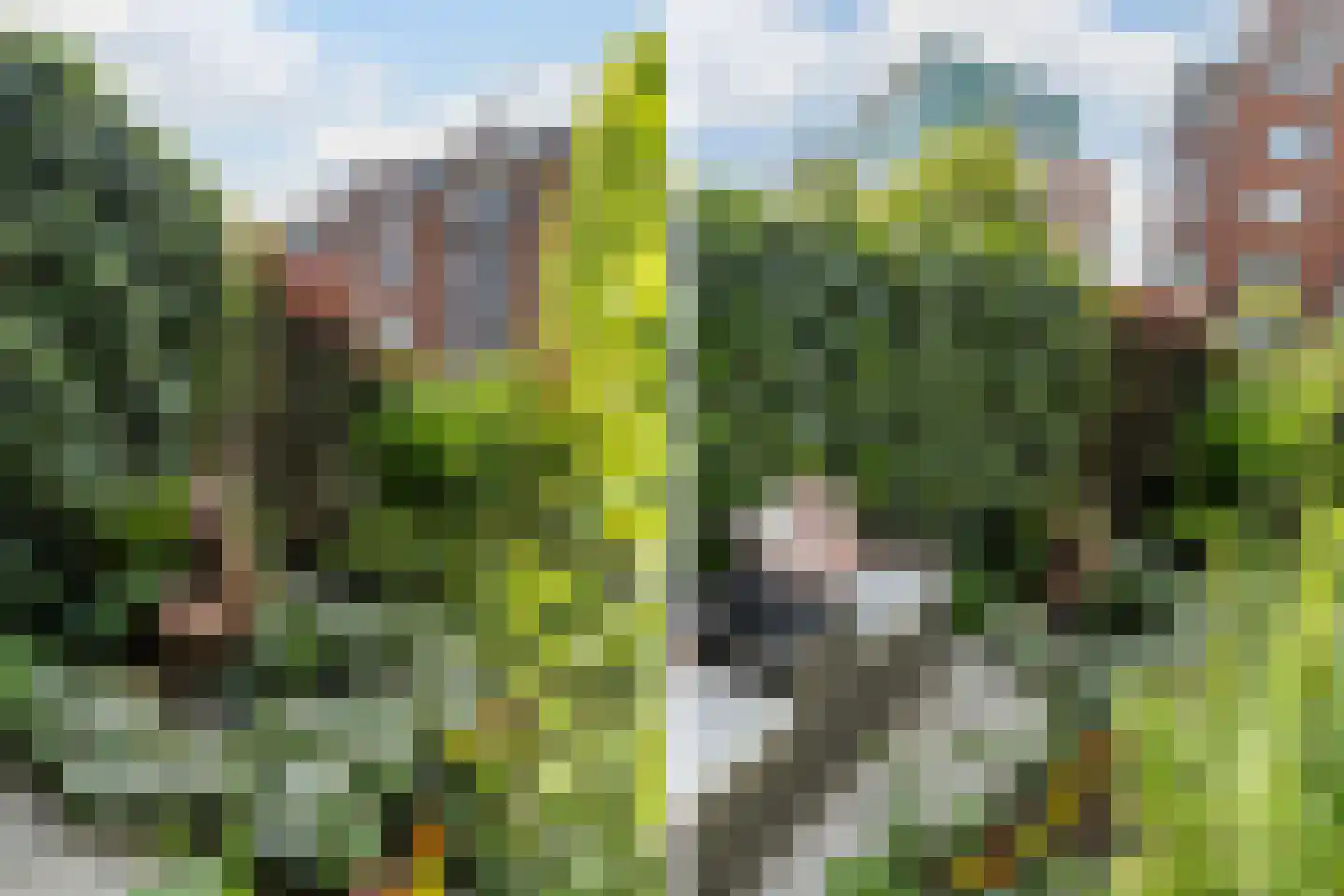 Poelruit 2 a Reeuwijk thumbnail 35