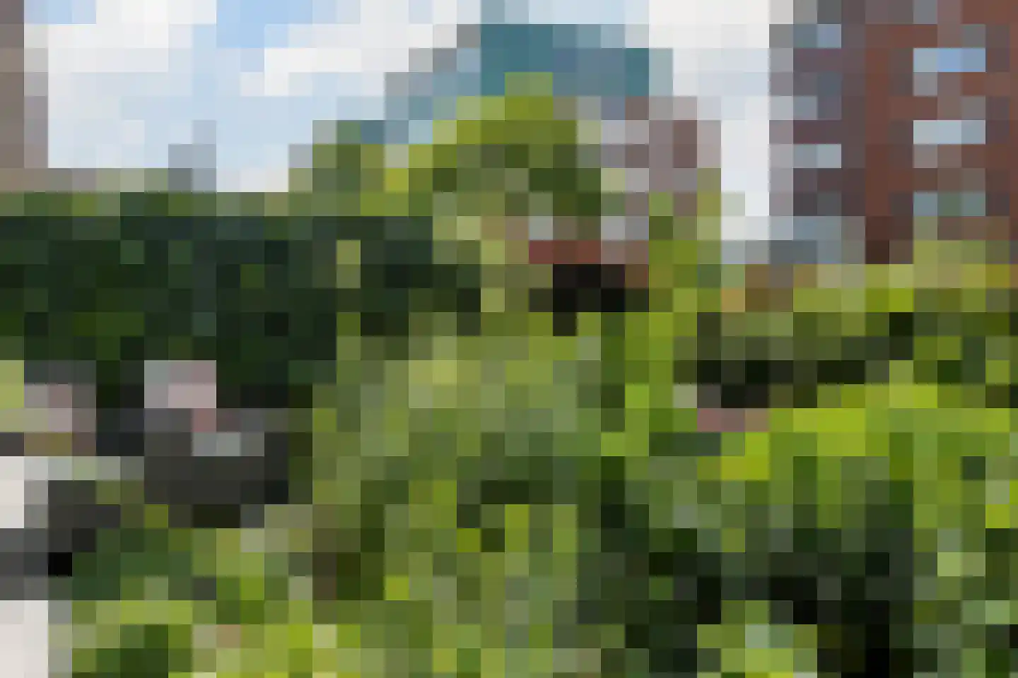 Poelruit 2 a Reeuwijk thumbnail 38