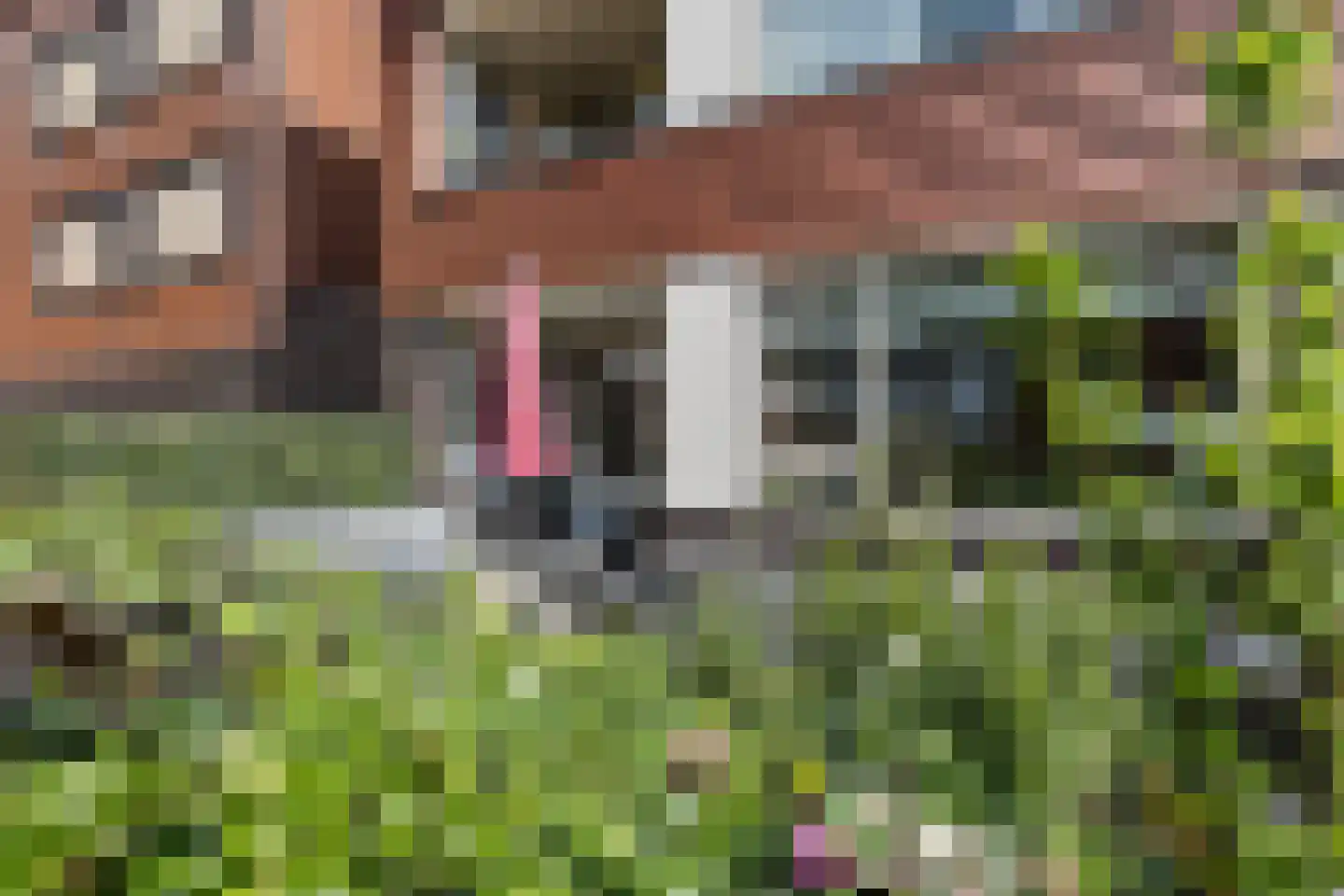Poelruit 2 a Reeuwijk thumbnail 40