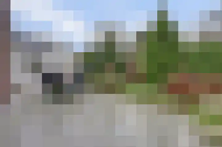 Poelruit 2 Buitenpost